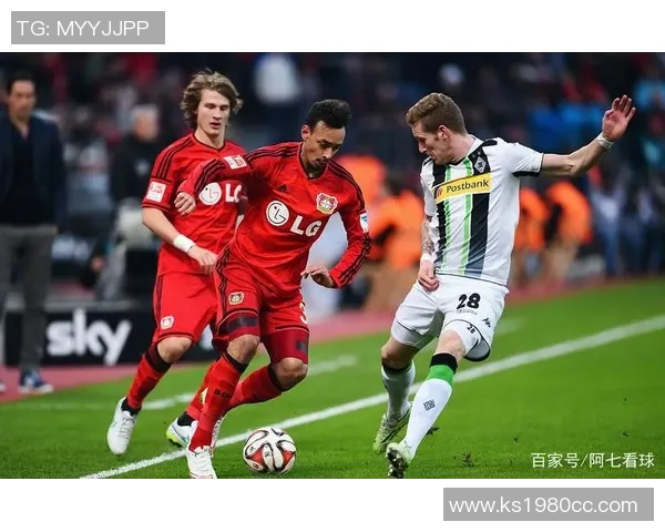 竞彩055尼斯对阵里尔分析及赛事预测详解